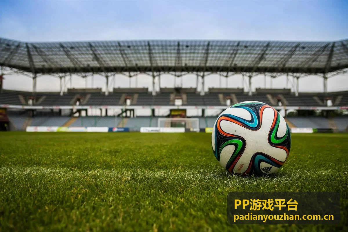 PP游戏平台浏览提示与设备环境说明